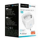 Priza Wi-Fi Connect P4