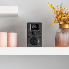 Radio cu internet KM 818