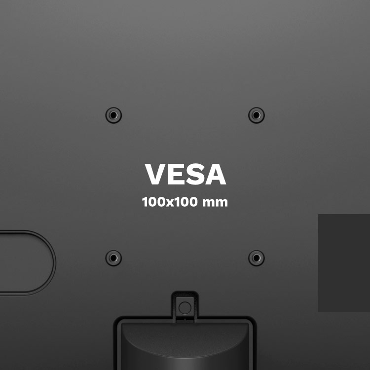 Monitor cu VESA