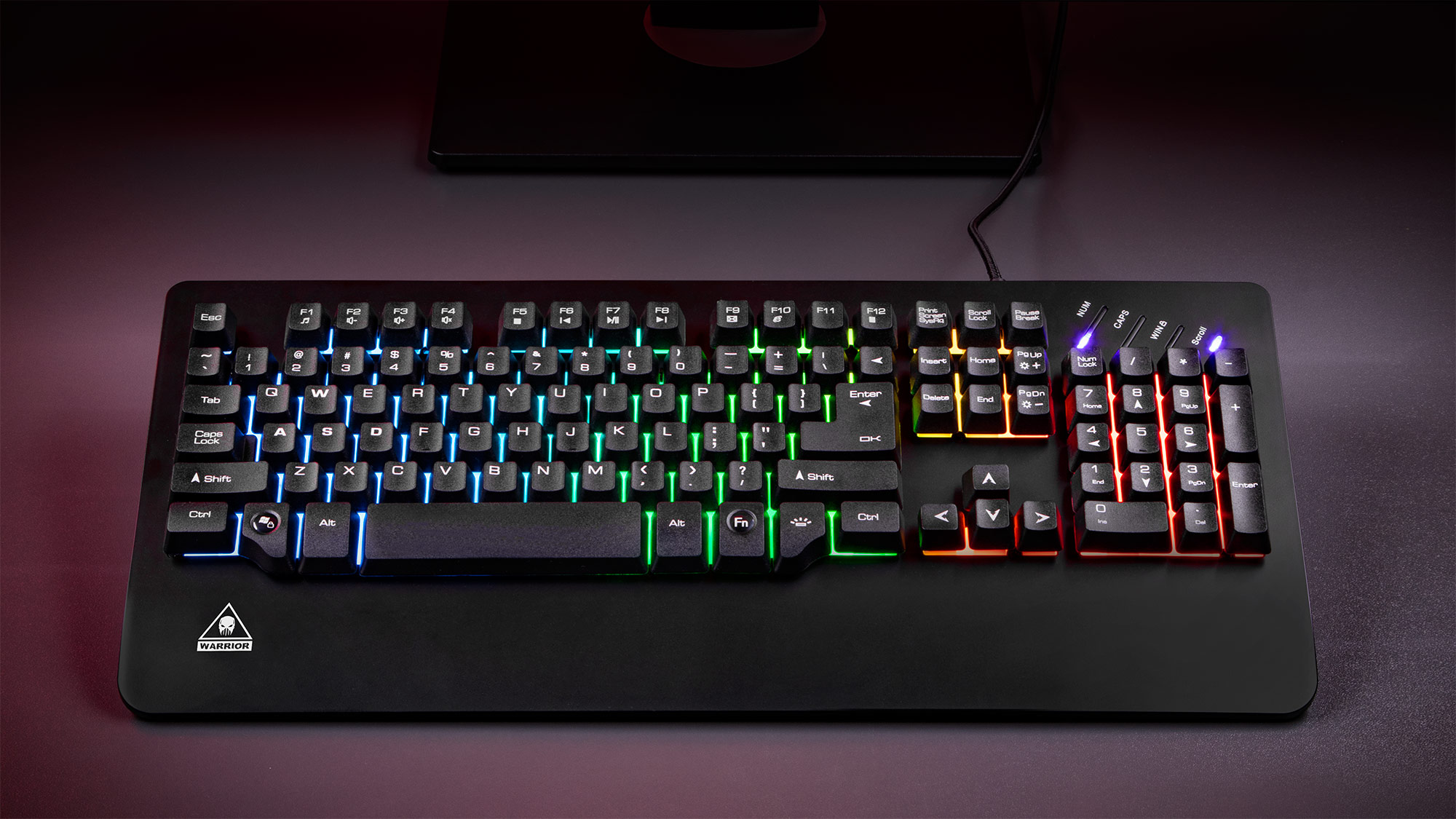 Iti place sa te joci noaptea? Iluminarea in mai multe culori a tastaturii Warrior GK50 de la Kruger&Matz face sesiunile de gaming o adevarat placere! In plus, tastatura are doua moduri de functionare - tu esti cel care decide pe care il vei folosi. 